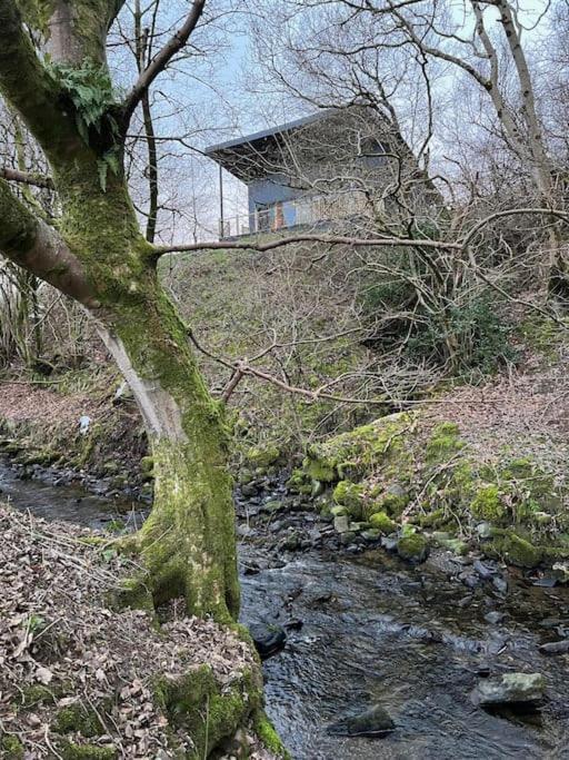 Luxury Lodge In The Treetops Llanbrynmair Kültér fotó