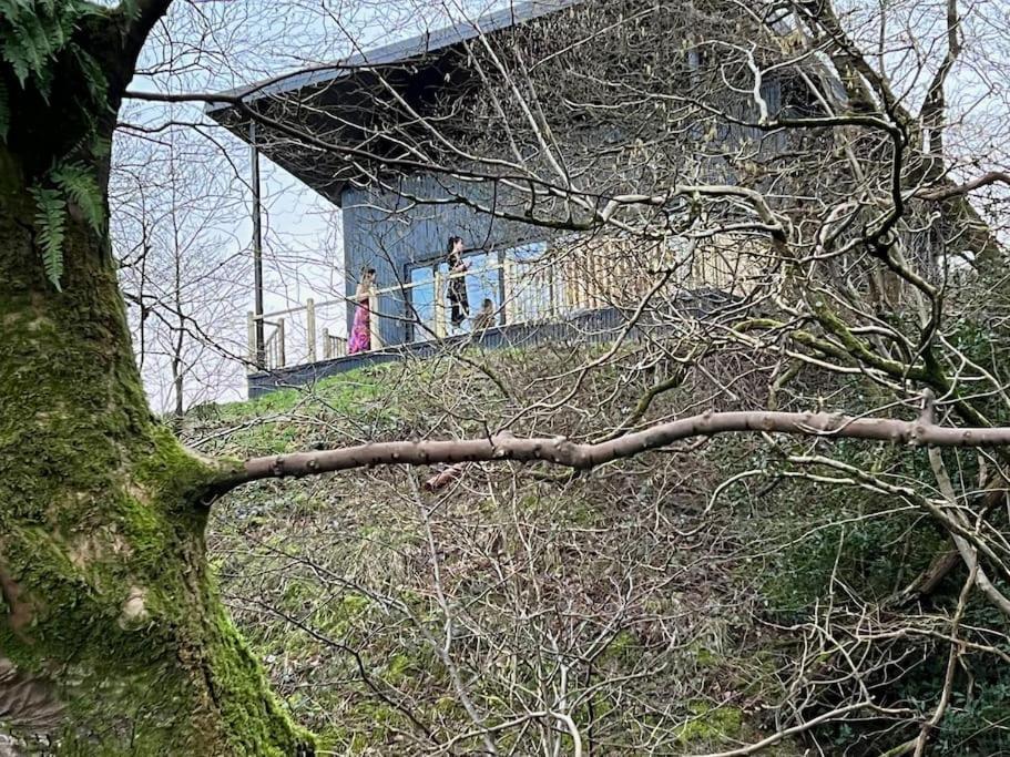 Luxury Lodge In The Treetops Llanbrynmair Kültér fotó