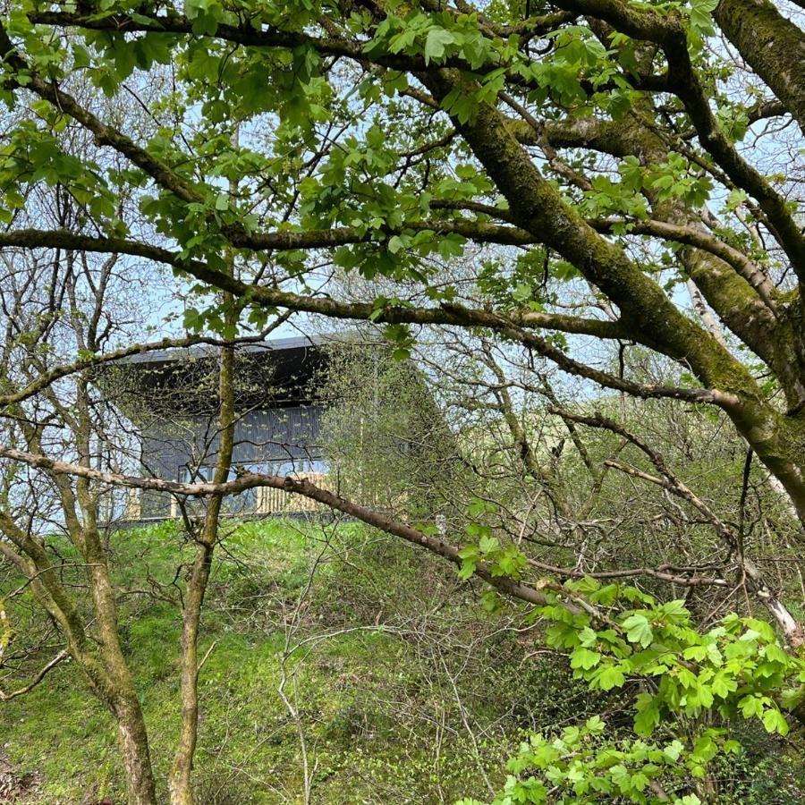 Luxury Lodge In The Treetops Llanbrynmair Kültér fotó